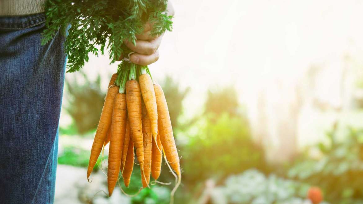 5 Ways to Eat Healthy on a Budget