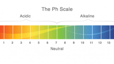 Cleanse Toxins With These Alkalising Foods