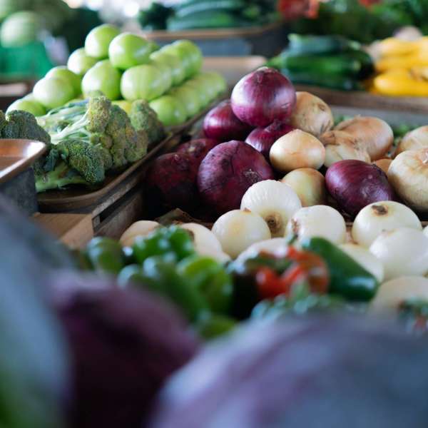 Why is Chicken Soup so good for your Immune System? PhClinic