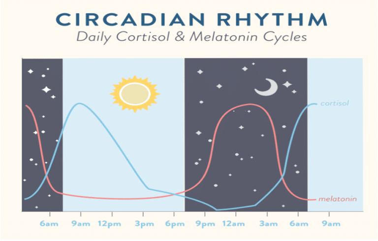 Sleep Stress And Circadian Rhythms Phclinic 